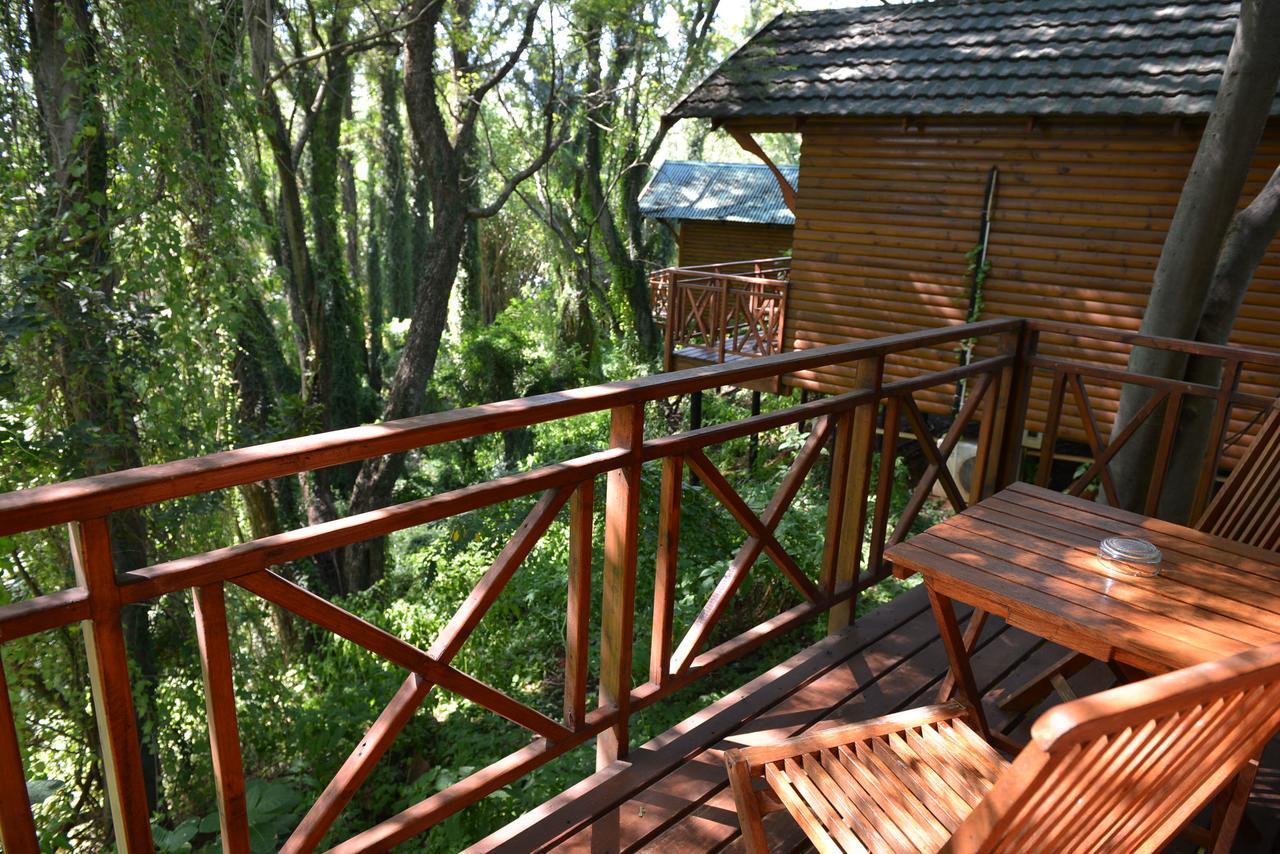 Haggards On Hilldrop Bed & Breakfast Newcastle Ngoại thất bức ảnh