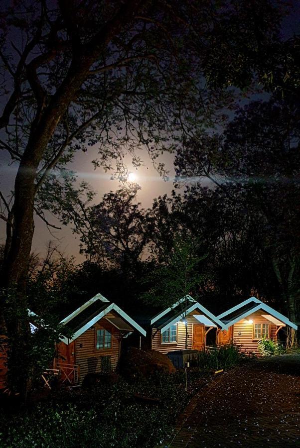 Haggards On Hilldrop Bed & Breakfast Newcastle Ngoại thất bức ảnh