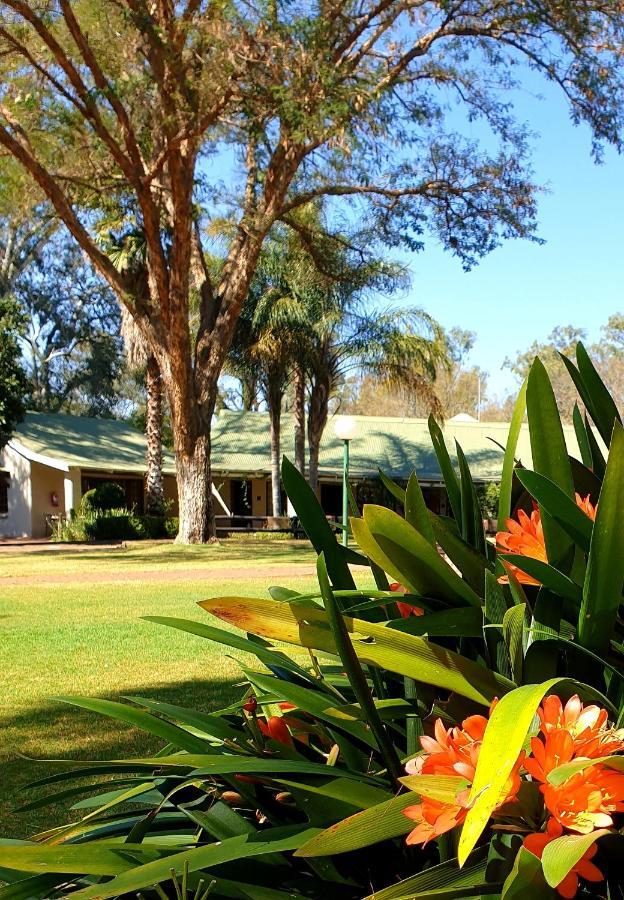 Haggards On Hilldrop Bed & Breakfast Newcastle Ngoại thất bức ảnh