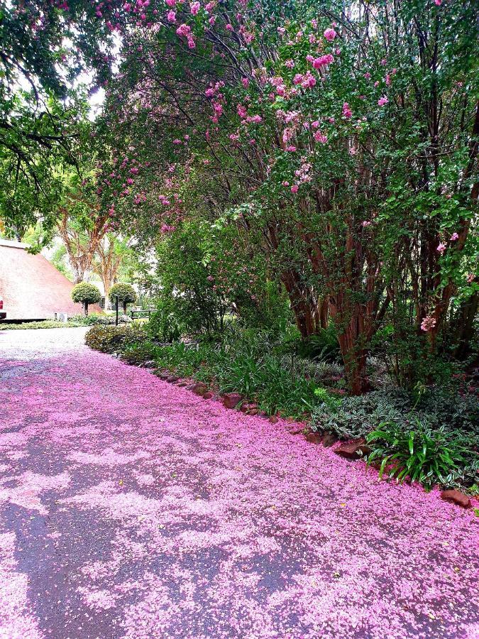 Haggards On Hilldrop Bed & Breakfast Newcastle Ngoại thất bức ảnh
