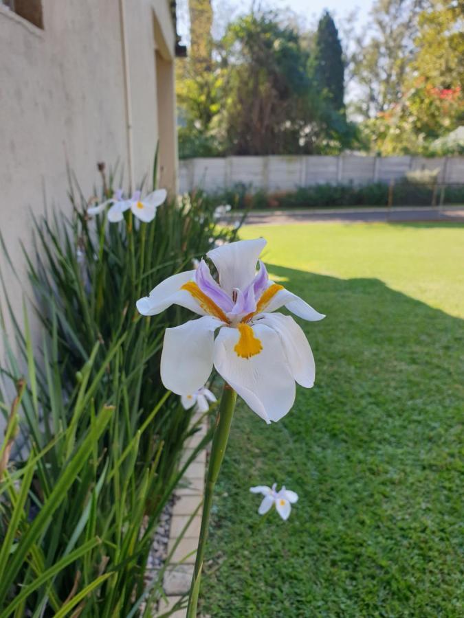 Haggards On Hilldrop Bed & Breakfast Newcastle Ngoại thất bức ảnh